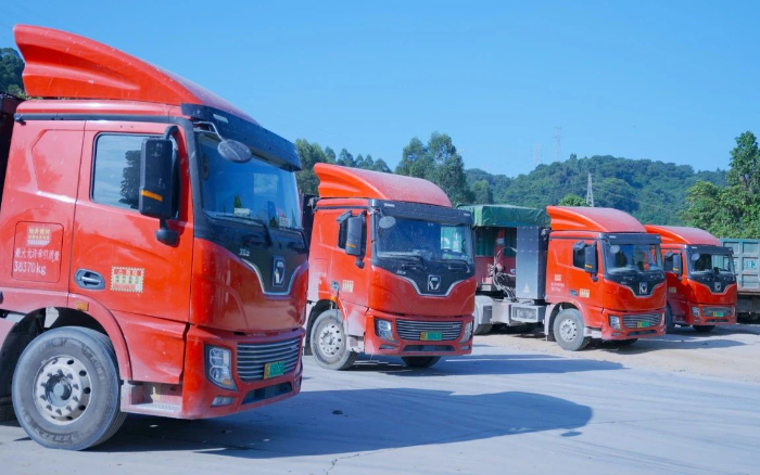 零碳先鋒 | 百臺徐工新能源助力福建客戶成功創富！